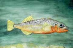 T3, 2003, Aquarell, 50x60, © Lore Weiler
