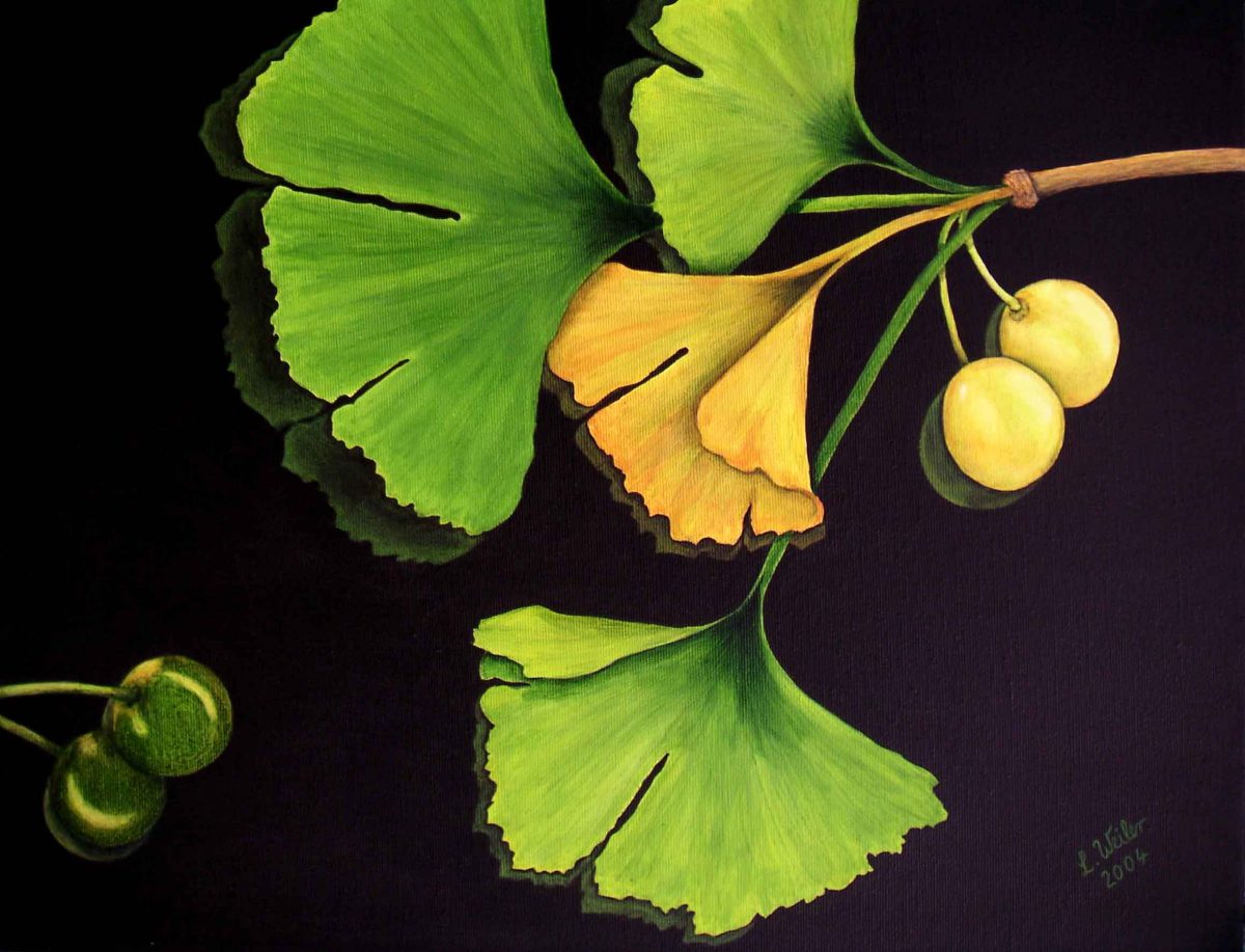 GINKGO-TRILOGIE